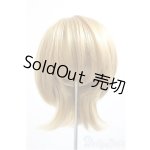 画像: 9-10inch/ウィッグ/インチ　BJD　MJD　ドール用 A-26-01-14-142-NY-ZA