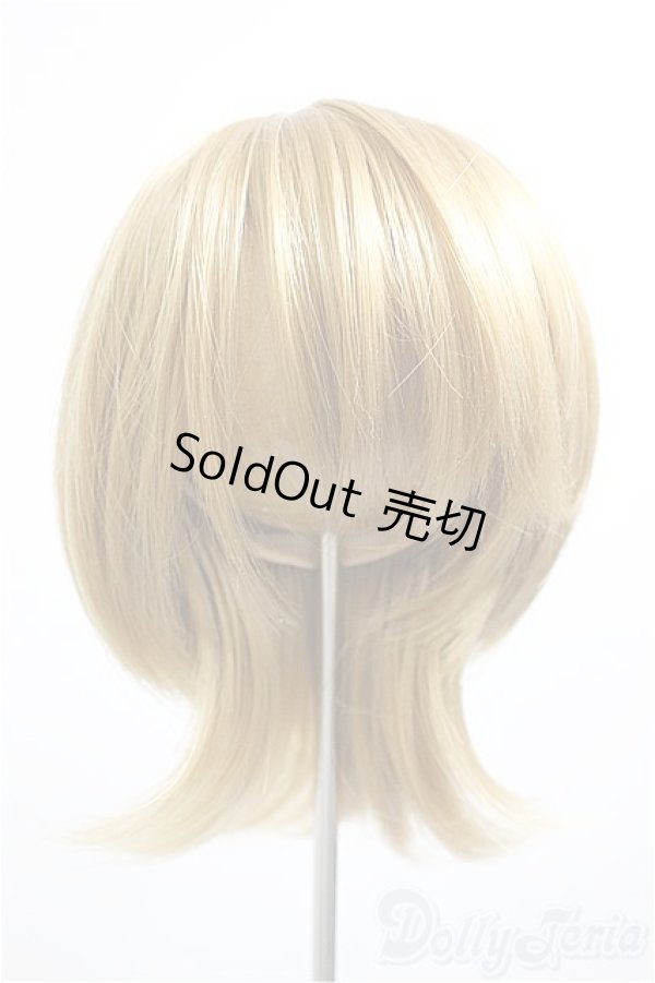 画像1: 9-10inch/ウィッグ/インチ　BJD　MJD　ドール用 A-26-01-14-142-NY-ZA (1)