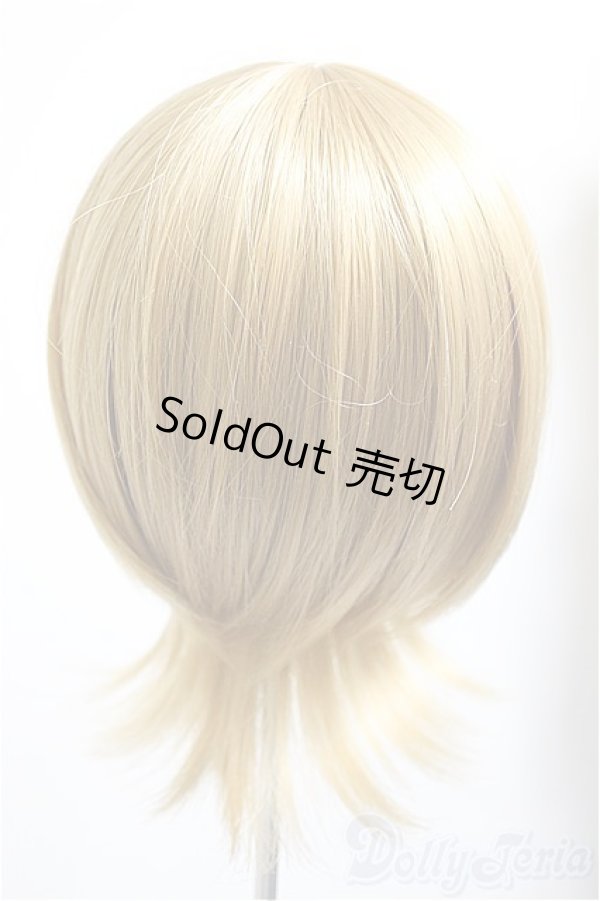 画像2: 9-10inch/ウィッグ/インチ　BJD　MJD　ドール用 A-26-01-14-142-NY-ZA (2)