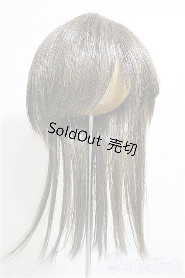画像1: 9-10inch/ウィッグ/インチ　BJD　MJD　ドール用 A-26-01-14-145-NY-ZA (1)