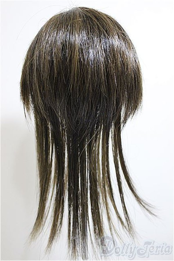 画像2: 9-10inch/ウィッグ/インチ　BJD　MJD　ドール用 A-26-01-14-145-NY-ZA (2)