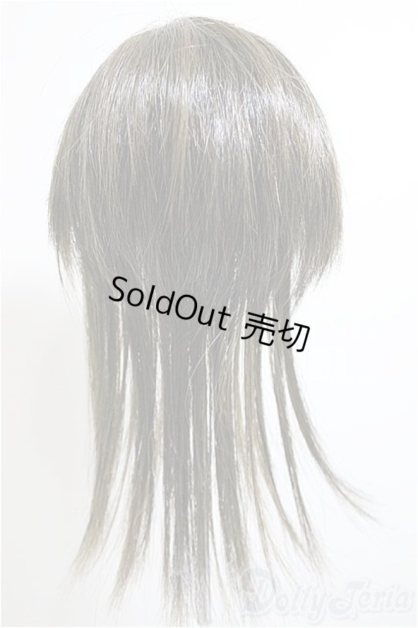 画像2: 9-10inch/ウィッグ/インチ　BJD　MJD　ドール用 A-26-01-14-145-NY-ZA (2)
