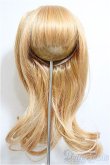 画像1: 9-10inch/ウィッグ/インチ　BJD　MJD　ドール用 A-26-01-14-144-NY-ZA (1)