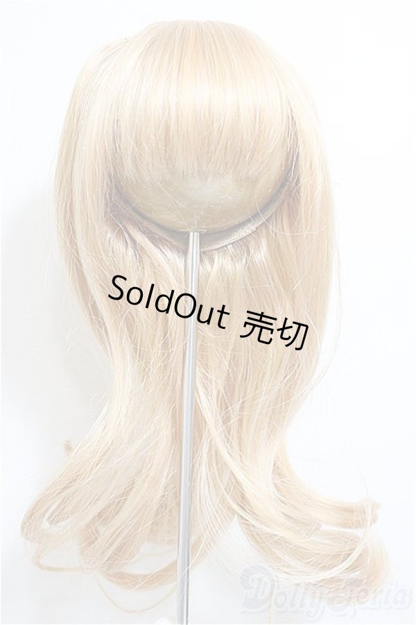 画像1: 9-10inch/ウィッグ/インチ　BJD　MJD　ドール用 A-26-01-14-144-NY-ZA (1)