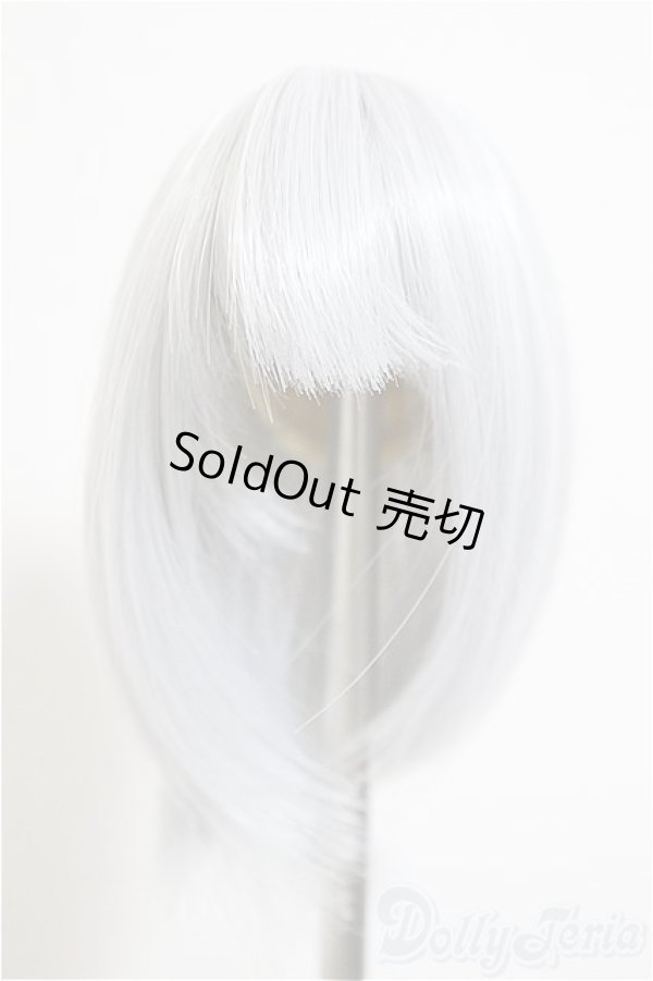 画像1: 4inch/ウィッグ/インチ　BJD　MJD　ドール用 A-26-01-14-143-NY-ZA (1)