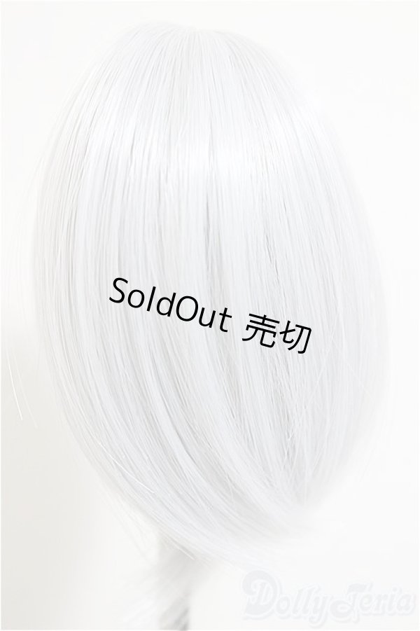 画像2: 4inch/ウィッグ/インチ　BJD　MJD　ドール用 A-26-01-14-143-NY-ZA (2)