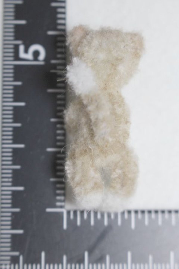 画像2: ネオブライス/OF:小物/ファッションドール　衣装 A-26-01-07-068-NY-ZA (2)