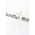 画像: ネオブライス/OF:小物/ファッションドール 衣装 A-26-01-04-362-NY-ZA