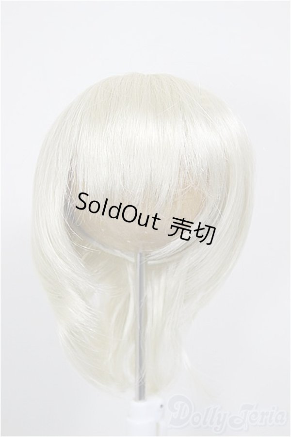 画像1: 8-9inch/ウィッグ/インチ　BJD　MJD　ドール用 A-26-01-04-355-NY-ZA (1)