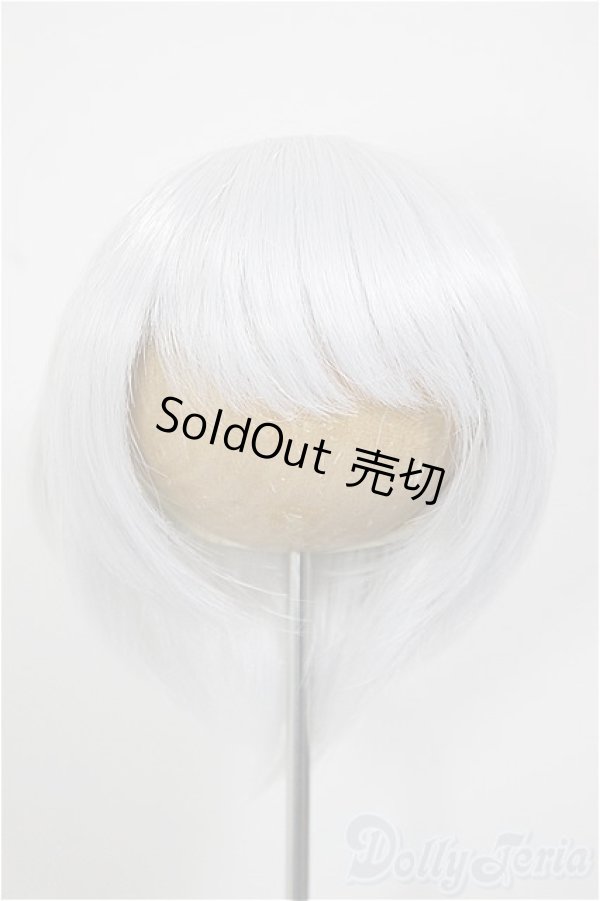 画像1: 8-9inch/ウィッグ/インチ　BJD　MJD　ドール用 A-26-01-04-353-NY-ZA (1)