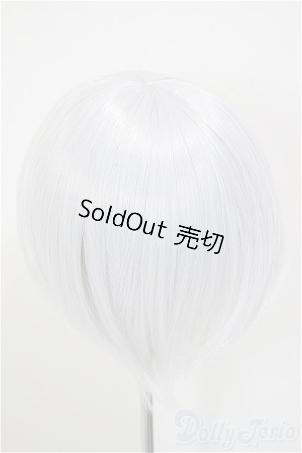 画像2: 8-9inch/ウィッグ/インチ　BJD　MJD　ドール用 A-26-01-04-353-NY-ZA (2)