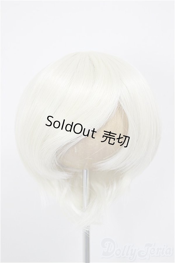 画像1: 8-9inch/ウィッグ/インチ　BJD　MJD　ドール用 A-26-01-04-356-NY-ZA (1)