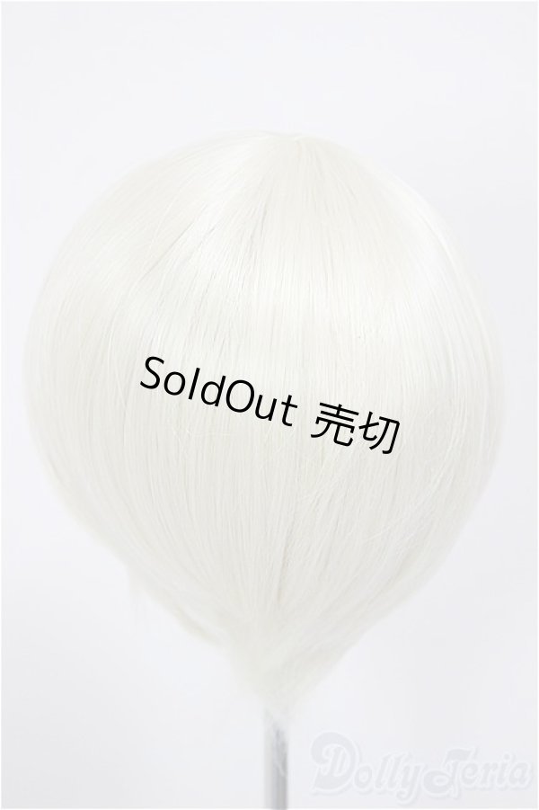 画像2: 8-9inch/ウィッグ/インチ　BJD　MJD　ドール用 A-26-01-04-356-NY-ZA (2)