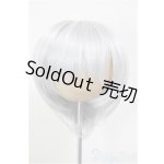 画像: 8-9inch/ウィッグ/インチ　BJD　MJD　ドール用 A-26-01-04-352-NY-ZA