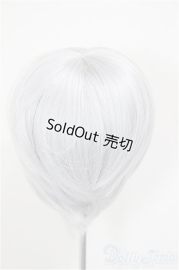 画像2: 8-9inch/ウィッグ/インチ　BJD　MJD　ドール用 A-26-01-04-352-NY-ZA (2)