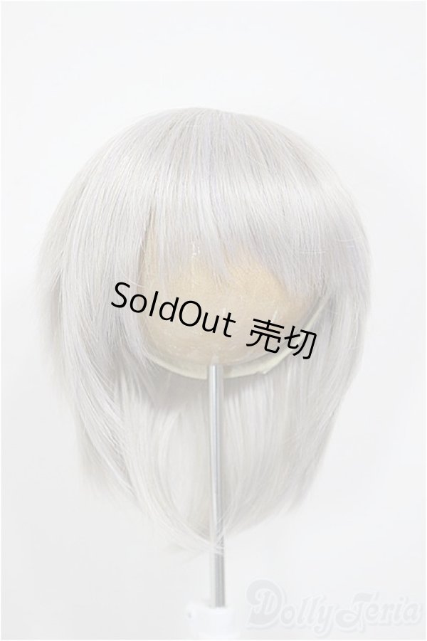 画像1: 8-9inch/ウィッグ/インチ　BJD　MJD　ドール用 A-26-01-04-351-NY-ZA (1)