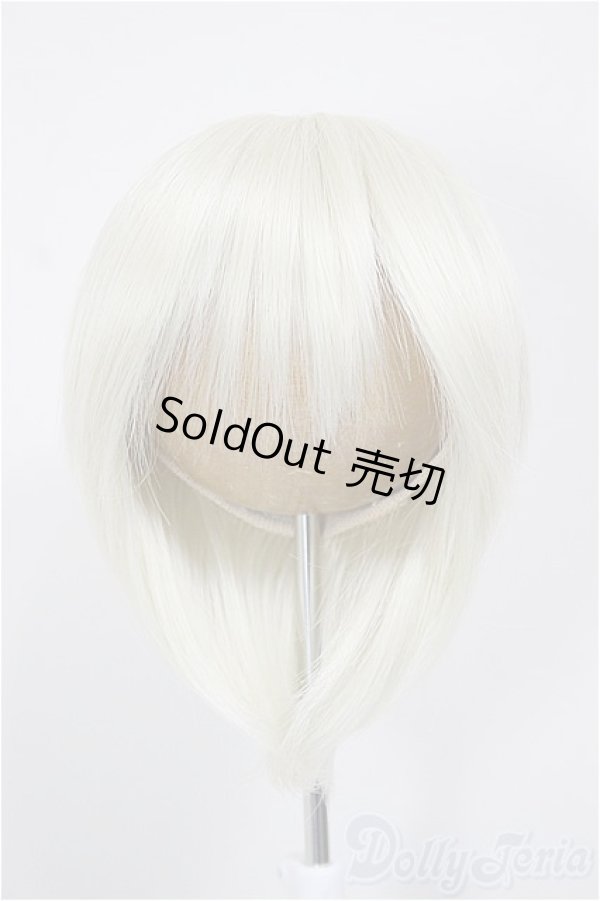 画像1: 8-9inch/ウィッグ/インチ　BJD　MJD　ドール用 A-26-01-04-357-NY-ZA (1)