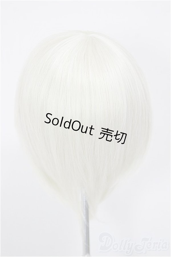 画像2: 8-9inch/ウィッグ/インチ　BJD　MJD　ドール用 A-26-01-04-357-NY-ZA (2)