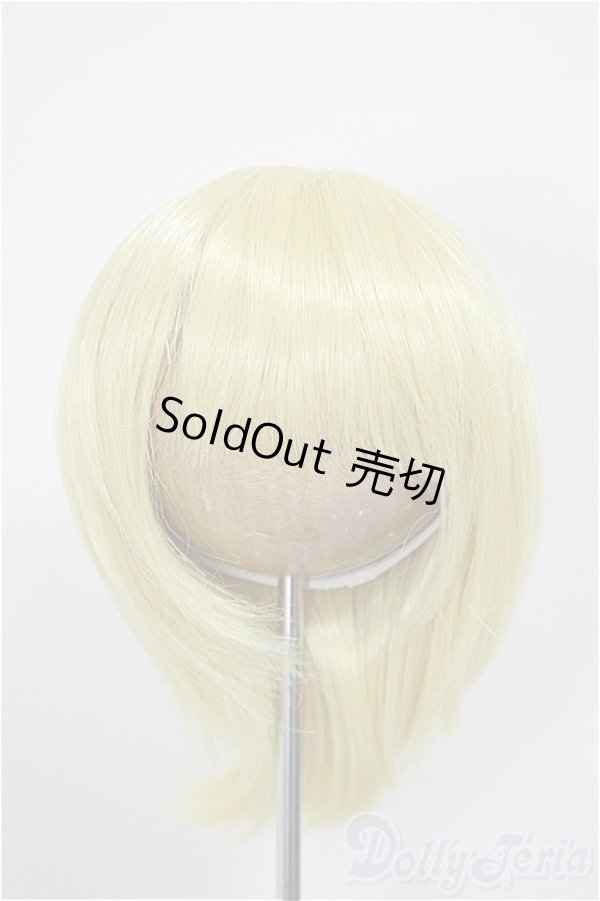 画像1: 8-9inch/ウィッグ/インチ　BJD　MJD　ドール用 A-26-01-04-359-NY-ZA (1)