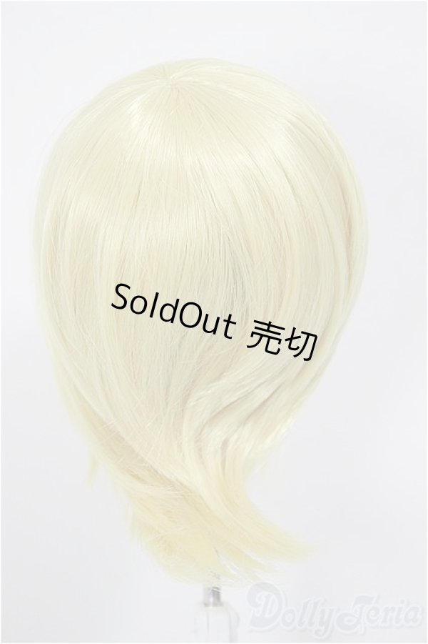 画像2: 8-9inch/ウィッグ/インチ　BJD　MJD　ドール用 A-26-01-04-359-NY-ZA (2)