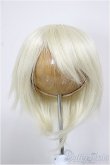 画像1: 9-10inch/ウィッグ　CROBI製/インチ　BJD　MJD　ドール用 A-26-01-04-386-NY-ZA (1)
