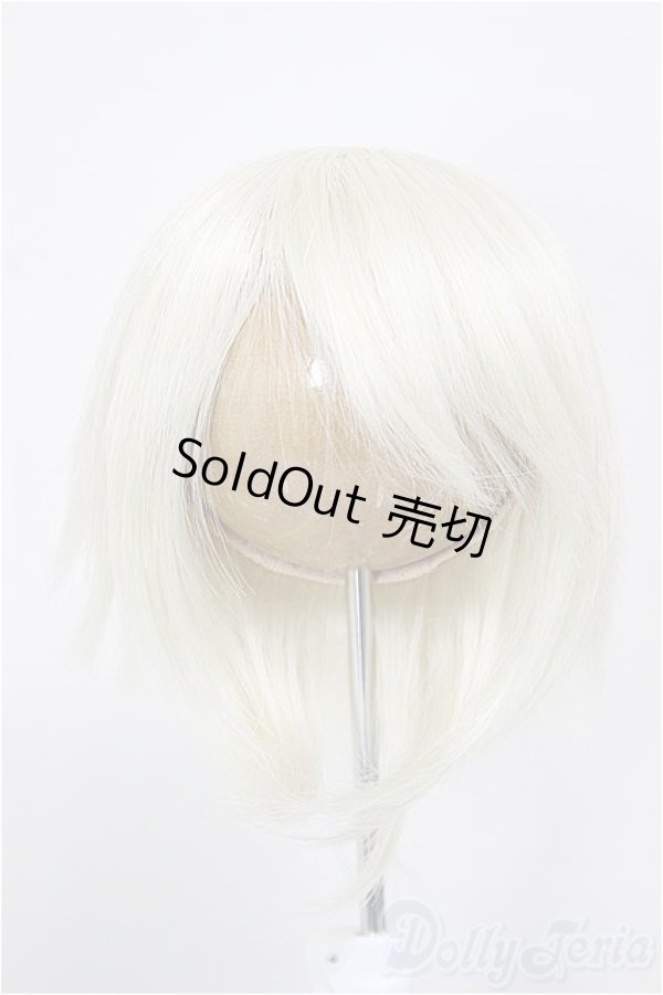 画像1: 9-10inch/ウィッグ　CROBI製/インチ　BJD　MJD　ドール用 A-26-01-04-386-NY-ZA (1)
