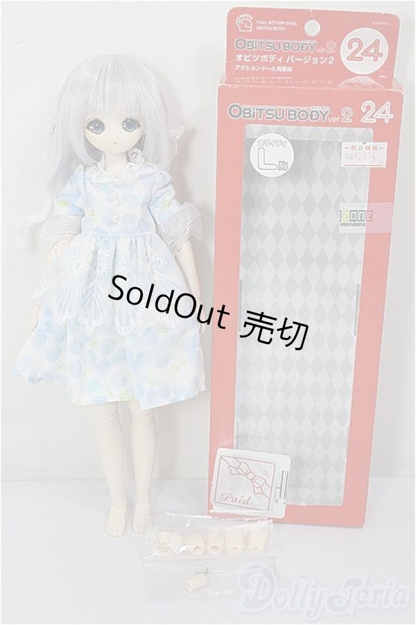 画像4: 1/6/PARABOXプチ姫ヘッド+オビツ24ボディ+ハンドパーツ/ A-26-01-04-259-NY-ZA (4)