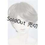 画像: SDGr男の子/F-88 ワンオフモデル つきみ様メイク/BJD 球体関節人形 A-26-01-04-399-NY-ZA