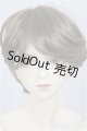 画像: SDGｒ男の子/F-88　ワンオフモデル　つきみ様メイク/BJD　球体関節人形 A-26-01-04-399-NY-ZA
