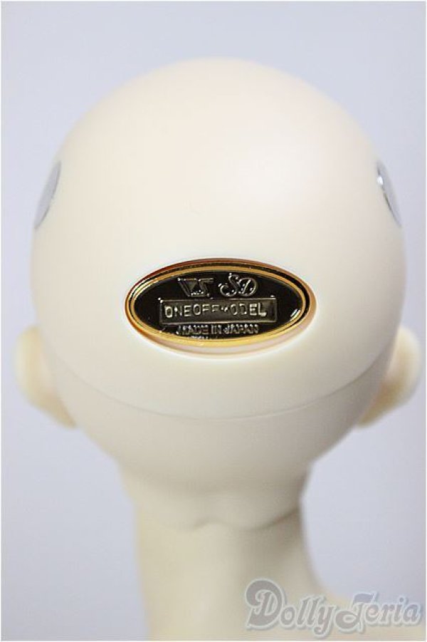 画像5: SDGｒ男の子/F-88　ワンオフモデル　つきみ様メイク/BJD　球体関節人形 A-26-01-04-399-NY-ZA (5)