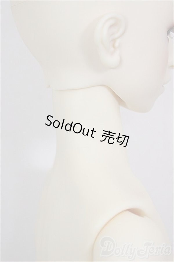 画像9: SDGｒ男の子/F-88　ワンオフモデル　つきみ様メイク/BJD　球体関節人形 A-26-01-04-399-NY-ZA (9)