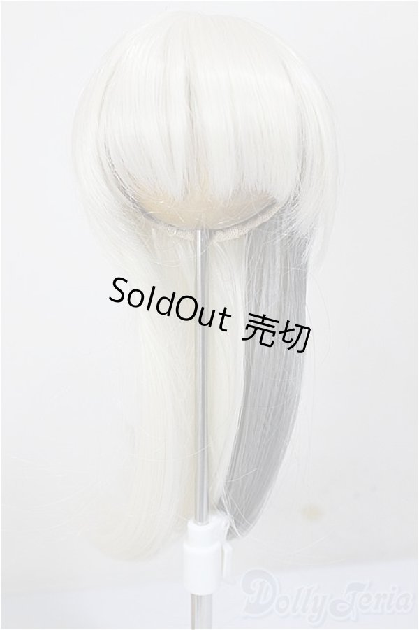 画像1: 7-8inch/ウィッグ/インチ　BJD　MJD　ドール用 A-26-01-14-133-NY-ZA (1)