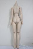 画像2: DD/ベースボディIII/BJD　球体関節人形 A-26-01-04-264-YB-ZA (2)