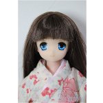 画像: AZONE/謹賀新年2015/サアラ/0 A-26-01-04-262-YB-ZA
