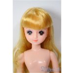 画像: リカちゃん/ファニーちゃん/BJD　球体関節人形 A-26-01-04-361-YB-ZA