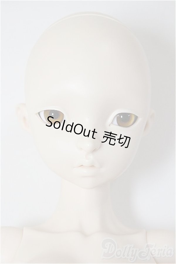 画像1: DOLL PAMM/Maid CANNA/BJD　球体関節人形 A-26-01-21-198-NY-ZA (1)