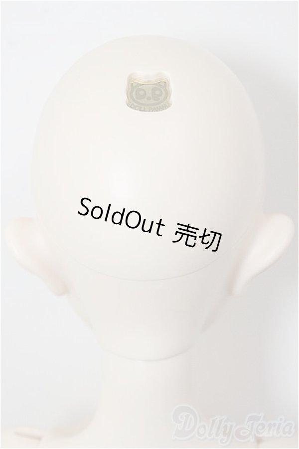 画像2: DOLL PAMM/Maid CANNA/BJD　球体関節人形 A-26-01-21-198-NY-ZA (2)