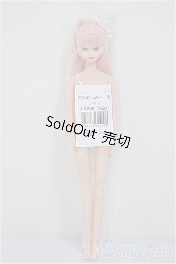 画像2: リカちゃんキャッスル/シオン　おたのしみドール/BJD　球体関節人形 A-26-01-04-394-NY-ZA (2)