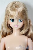 画像1: ジェニーフレンド/ジュディ/BJD　球体関節人形 A-26-01-04-385-NY-ZA (1)