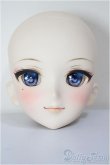 画像1: DDH-09/FANTASTIC WORLD様 カスタムヘッド/BJD　球体関節人形 A-26-01-14-352-NY-ZA (1)