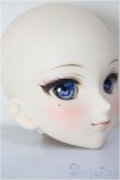 画像3: DDH-09/FANTASTIC WORLD様 カスタムヘッド/BJD　球体関節人形 A-26-01-14-352-NY-ZA (3)