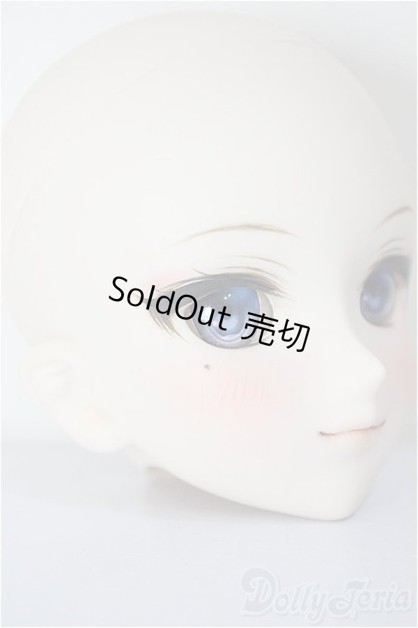 画像3: DDH-09/FANTASTIC WORLD様 カスタムヘッド/BJD　球体関節人形 A-26-01-14-352-NY-ZA (3)