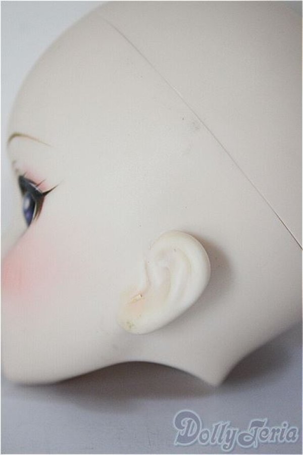 画像6: DDH-09/FANTASTIC WORLD様 カスタムヘッド/BJD　球体関節人形 A-26-01-14-352-NY-ZA (6)