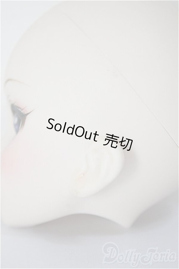 画像6: DDH-09/FANTASTIC WORLD様 カスタムヘッド/BJD　球体関節人形 A-26-01-14-352-NY-ZA (6)