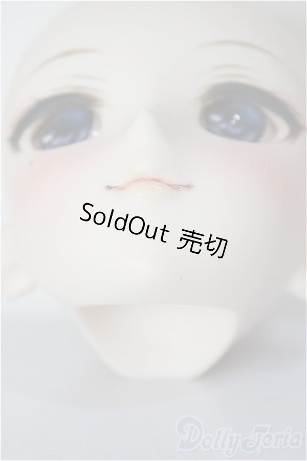 画像7: DDH-09/FANTASTIC WORLD様 カスタムヘッド/BJD　球体関節人形 A-26-01-14-352-NY-ZA (7)
