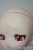 画像5: imomodoll /1/6サイズヘッド/BJD　球体関節人形 A-26-02-04-339-NY-ZA (5)