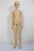 画像3: SDGｒ男の子/F-101　フルチョイス/BJD　球体関節人形 A-26-01-28-252-NY-ZA (3)