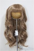 画像1: 8.5-9inch/ウィッグ/インチ　BJD　MJD　ドール用 A-26-01-07-176-NY-ZA (1)