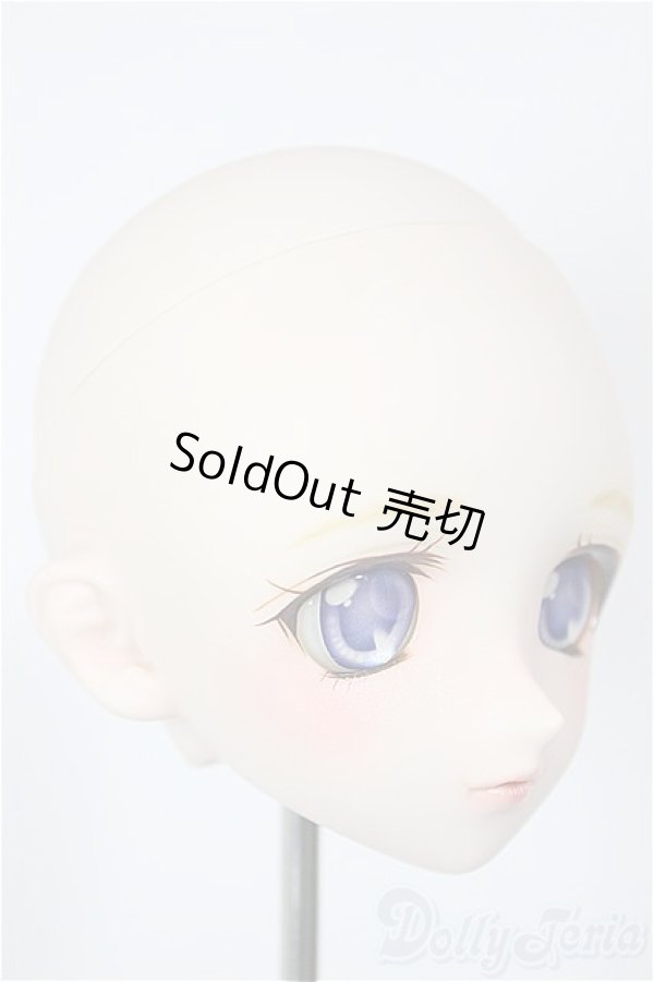 画像2: DDH-03/ファニラボ様カスタム/BJD　球体関節人形 A-26-01-07-114-NY-ZA (2)