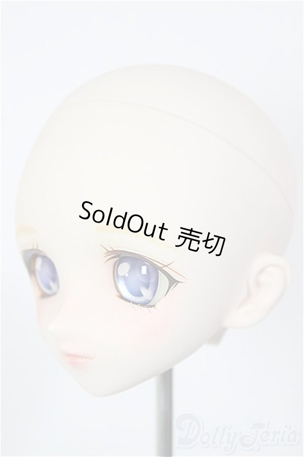 画像3: DDH-03/ファニラボ様カスタム/BJD　球体関節人形 A-26-01-07-114-NY-ZA (3)